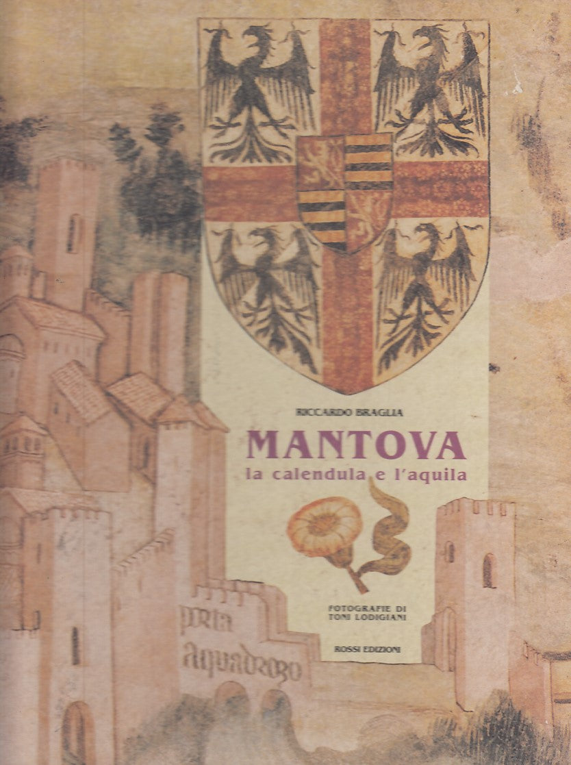 LZ- MANTOVA LA CALENDULA E L'AQUILA- BRAGLIA- ROSSI--- 1991- C- YDS532