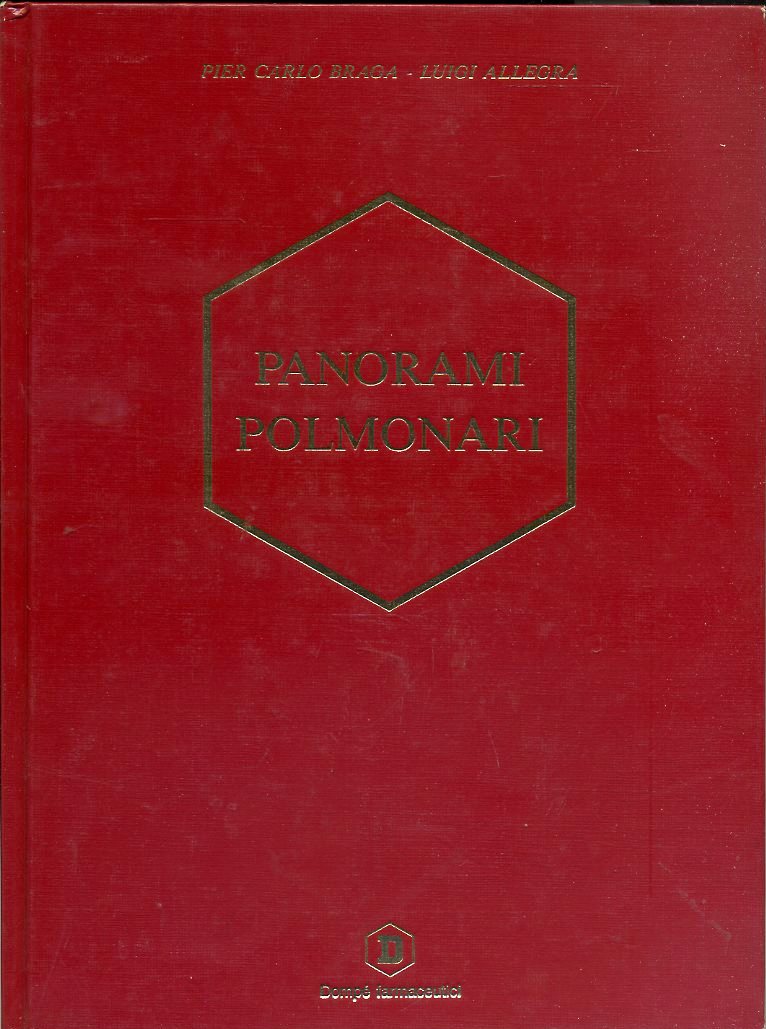 LZ- PANORAMI POLMONARI - BRAGA ALLEGRA - DAMPO' FARMACEUTICI--- 1991- C- ZDS580