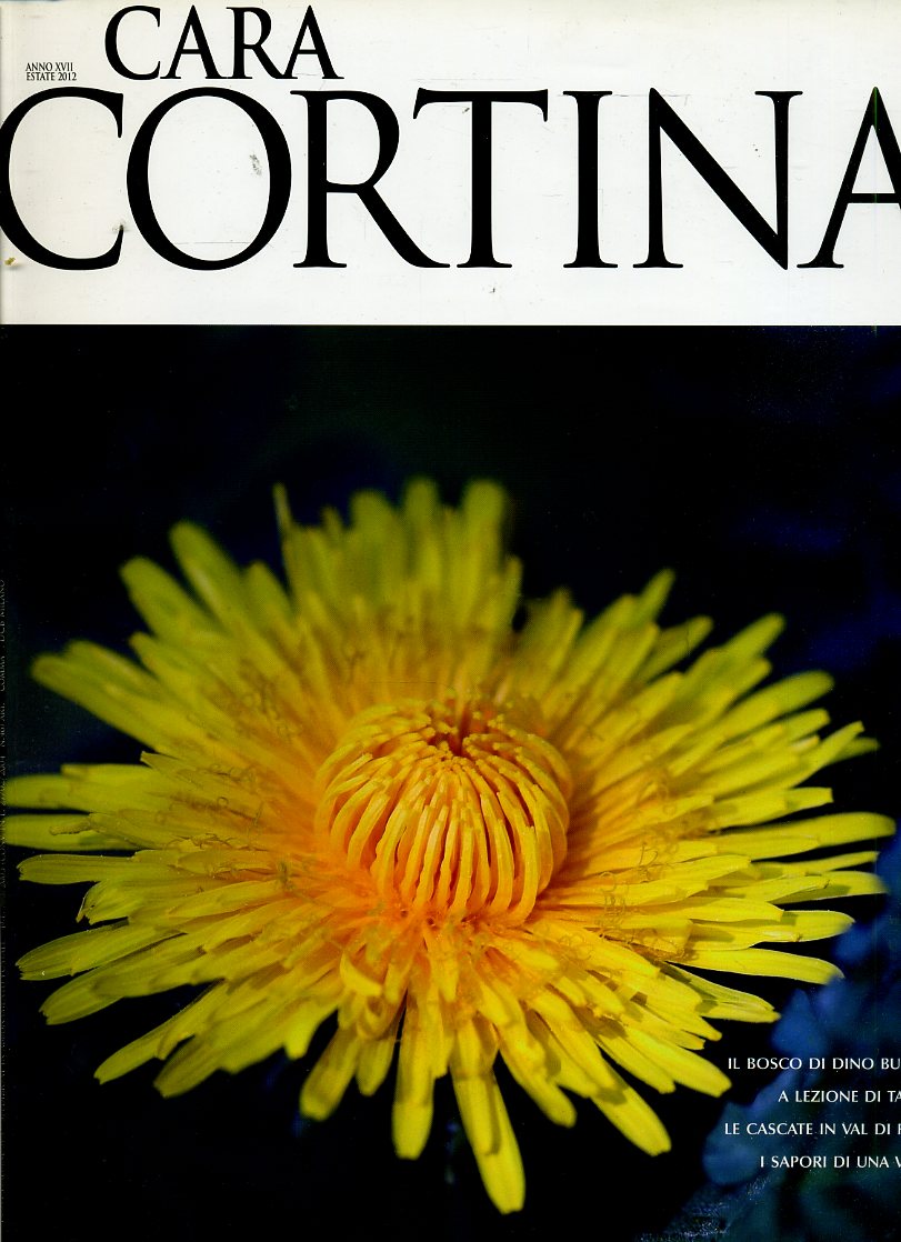 LR- PERIODICO RIVISTA CARA CORTINA ANNO XVII ESTATE 2012 ---- 2012 - B - YDS609