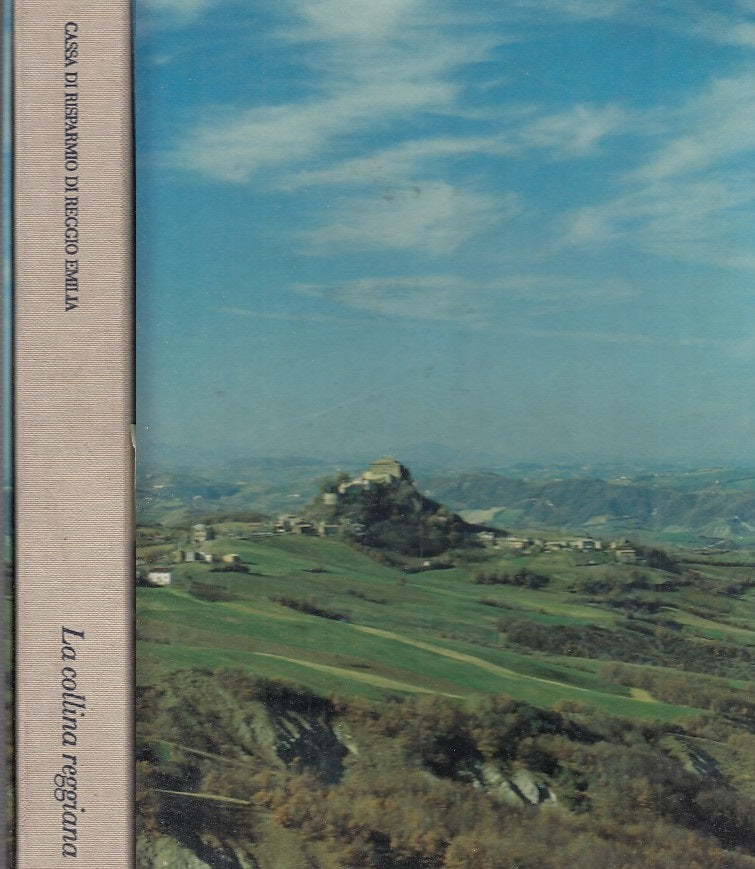 LT- LA COLLINA REGGIANA-- PIZZI CASSA RISPARMIO REGGIO EMILIA--- 1992- C- ZFS357