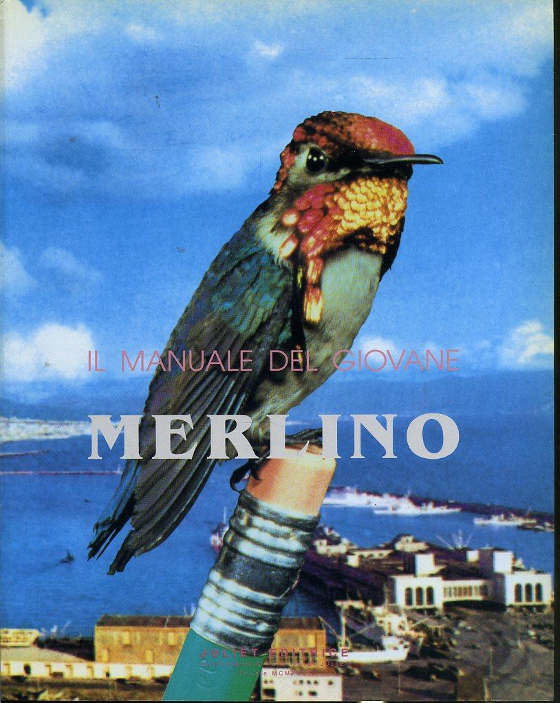 LT- IL MANUALE DEL GIOVANE MERLINO PITTURA IMMAGINI-- JULIET--- 1996- B- YFS619
