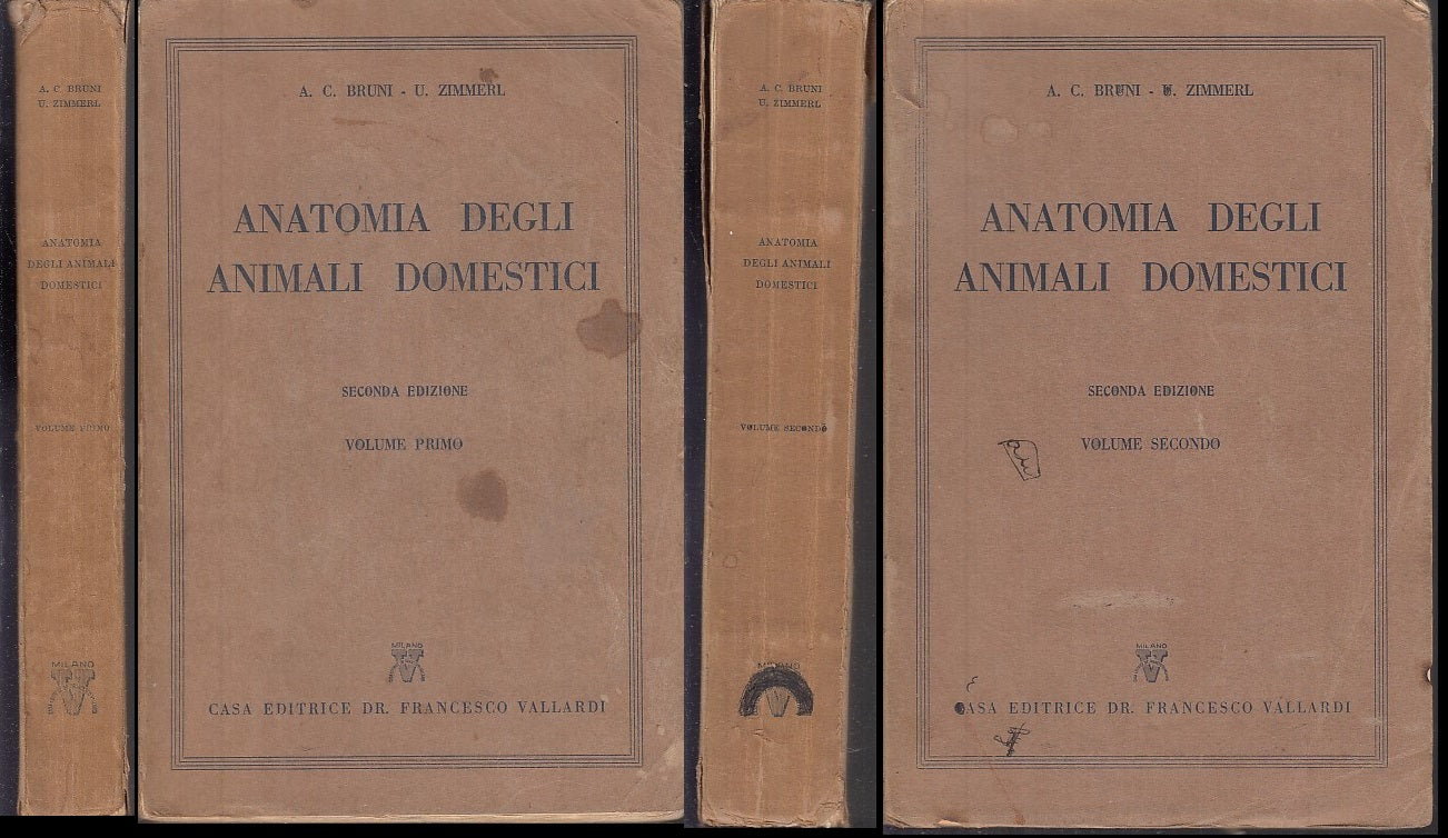 LZ- ANATOMIA DEGLI ANIMALI DOMESTICI- BRUNI ZIMMERL- VALLARDI--- 1951- B- YFS630