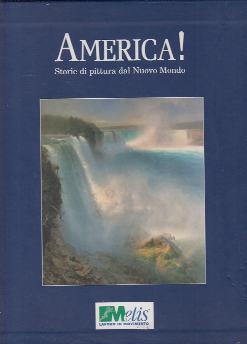 LT- AMERICA STORIE DI PITTURA DAL NUOVO MONDO- GOLDIN- METIS--- 2007- BS- YFS635
