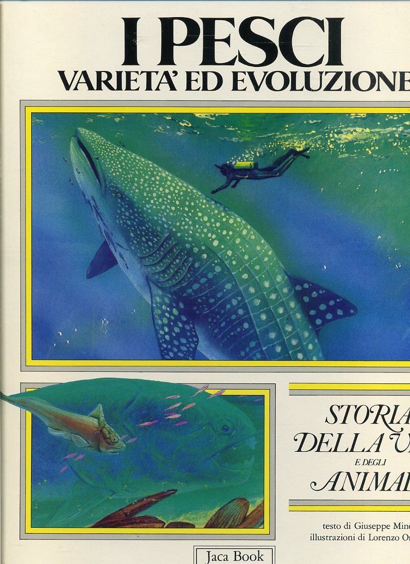 LZ- I PESCI VARIETA' EVOLUZIONE -- JACA BOOK - VITA ANIMALI -- 1987- C- YFS680
