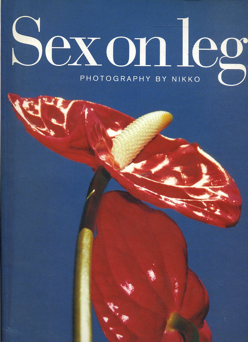 LT- SEXON LEGS PHOTOGRAPHY BY NIKKO -- NIKKOBOOK --- 2000 - B - YFS680
