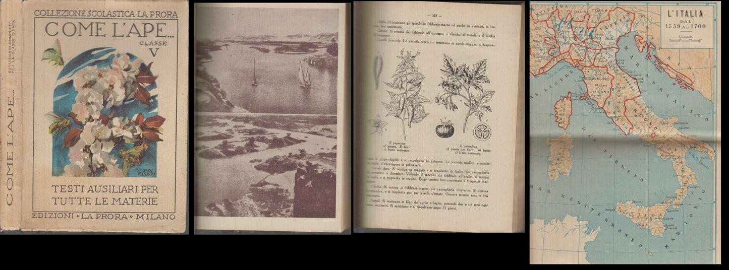 LB- COME L'APE CLASSE V -- LA PRORA - COLLEZIONE SCOLASTICA -- 1950 - B - XFS135