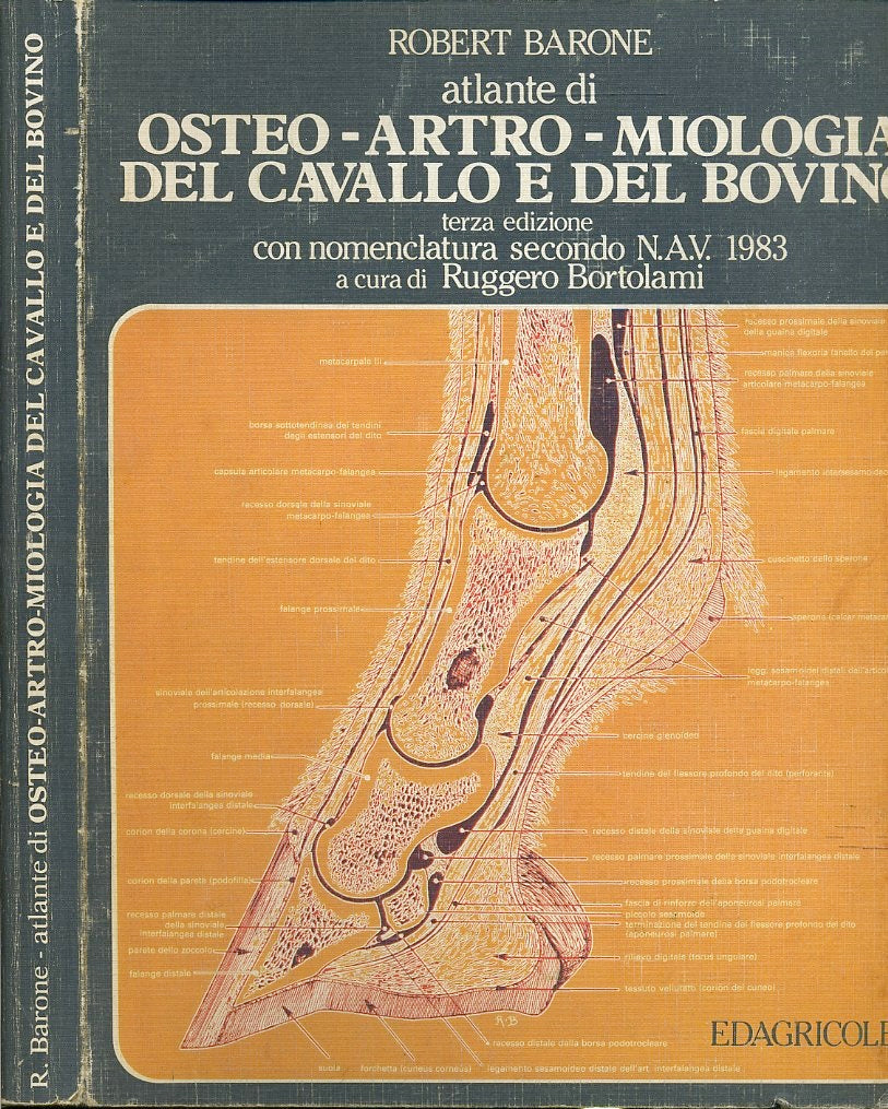 LZ- ATLANTE OSTEO ARTRO MIOLOGIA CAVALLO BOVINO - BARONE ---- 1987- B- YFS137