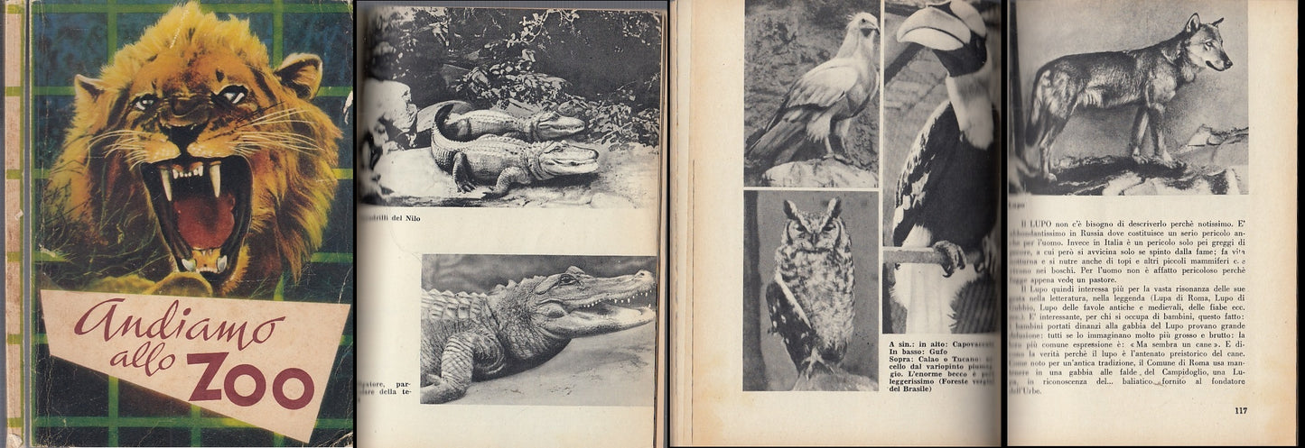 LZ- ANDIAMO ALLO ZOO ARMANDO BRUNI -- EDIZIONI PAOLINE --- 1955 - B - XFS33