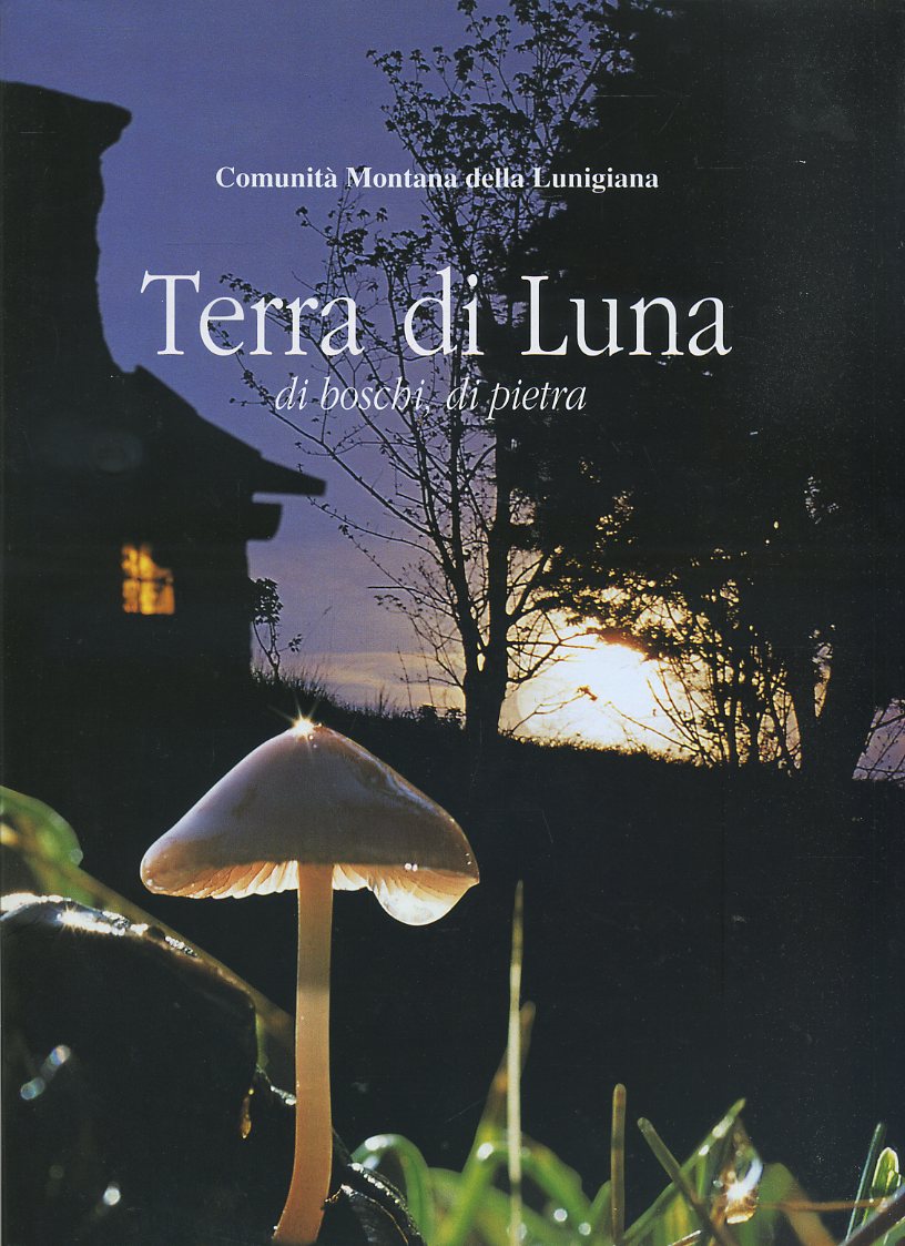 LV- TERRA DI LUNA DI BOSCHI DI PIETRA LUNIGIANA -- PUBLI ART--- 2002- CS- ZFS565