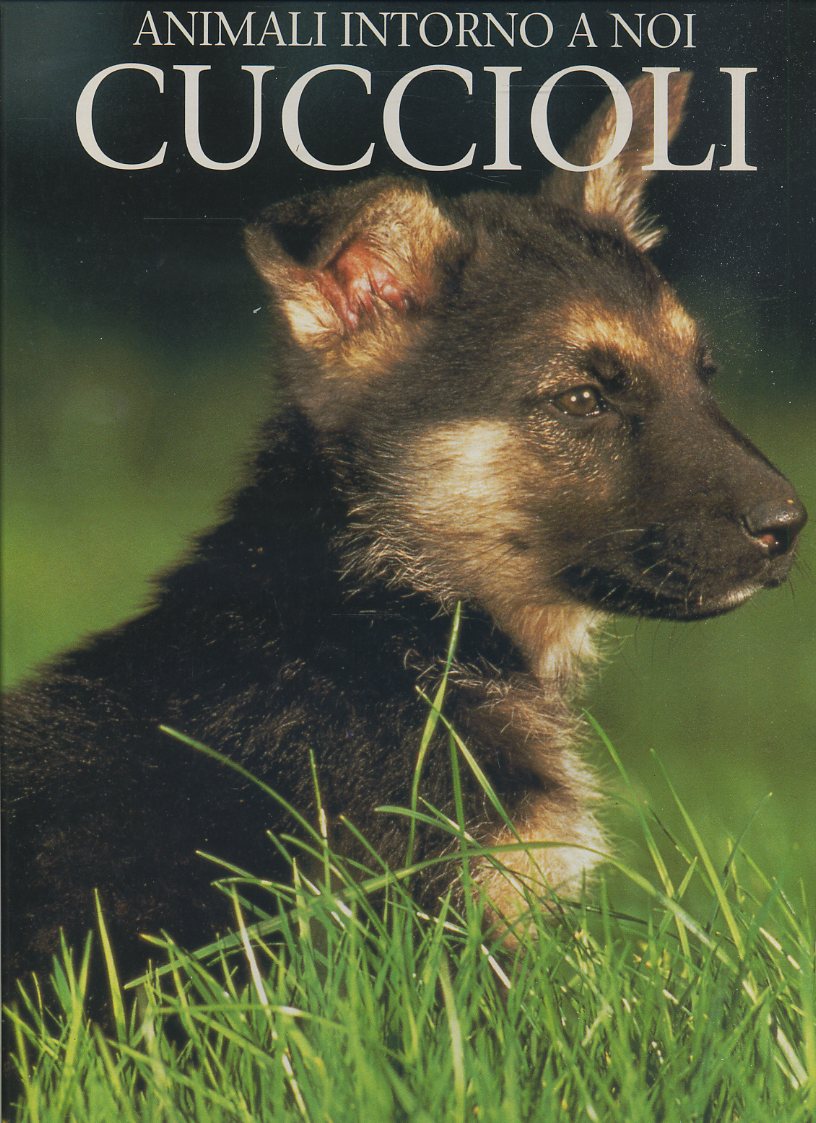 LZ- ANIMALI INTORNO A NOI CUCCIOLI - MARCUS SCHNECK - EDICART--- 1995- C- YFS702