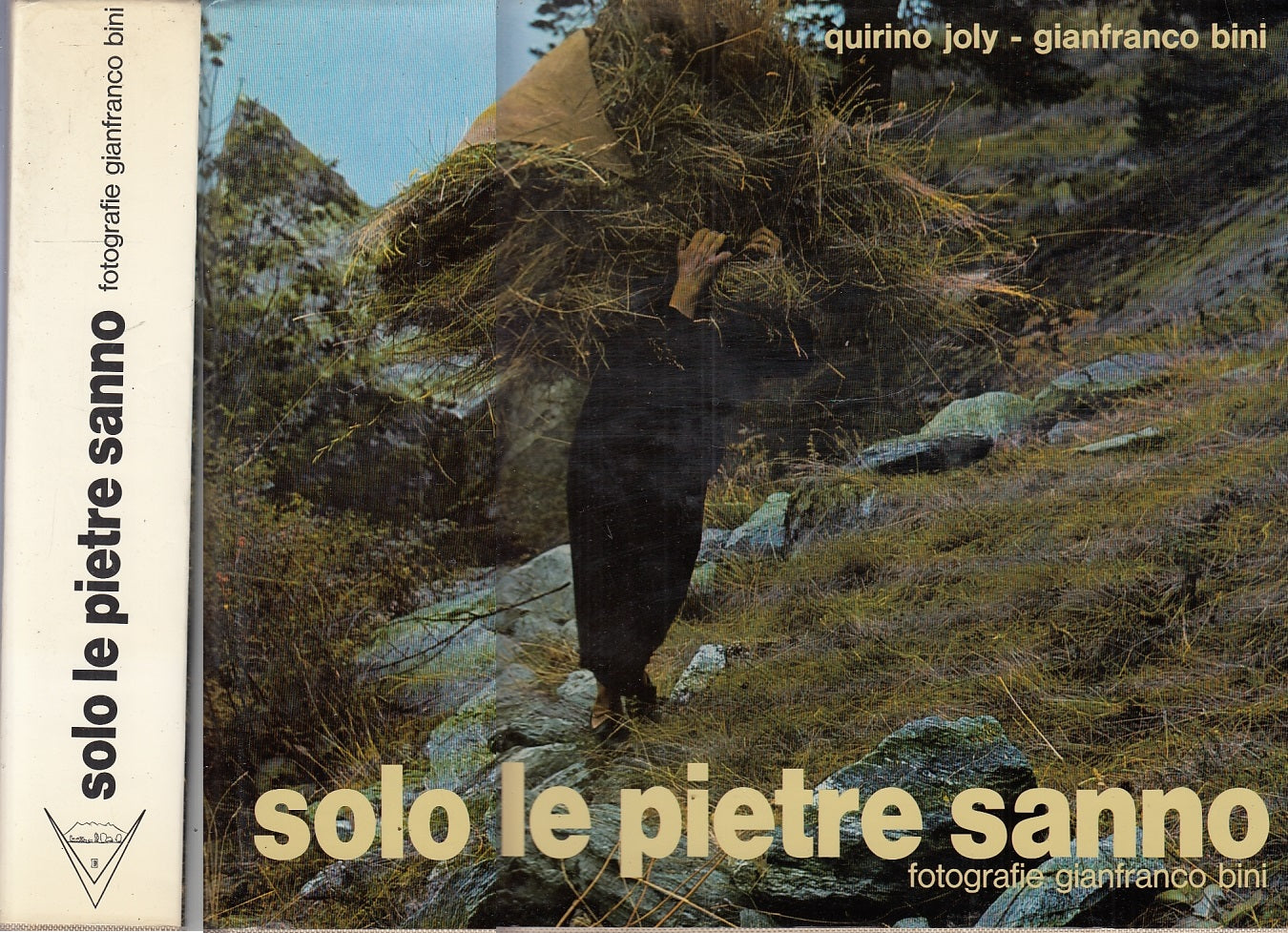 LT- SOLO LE PIETRE SANNO FOTOGRAFIE - BINI JOLY - VIRGINIA--- 1980- CS- YFS703