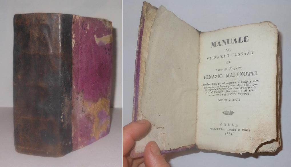 LH- MANUALE DEL VIGNAIOLO TOSCANO + PIANTONAIE - MALENOTTI ---- 1831 - C- ZFS319