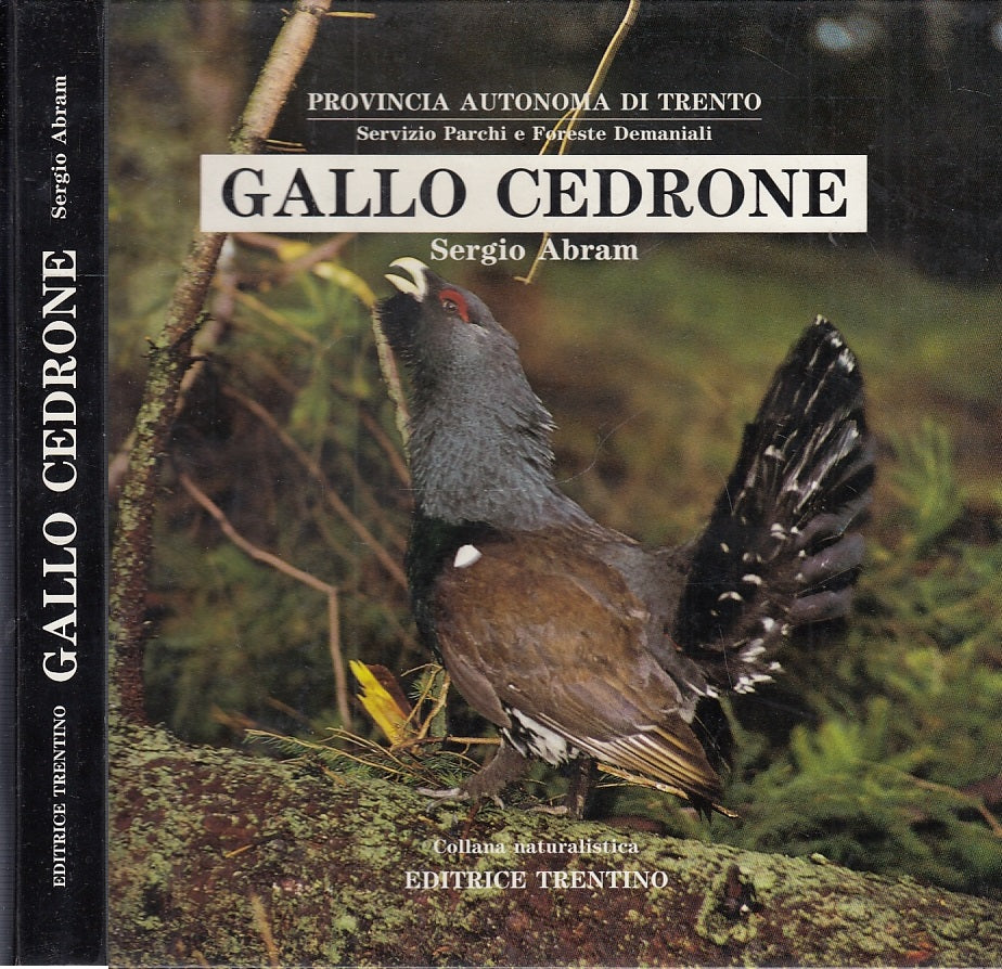 LZ- GALLO CEDRONE - SERGIO ABRAM - ED. TRENTINO- NATURALISTICA-- 1987- C- YFS299