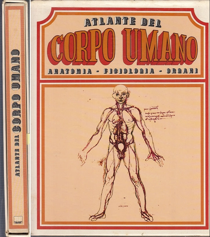 LZ- ATLANTE DEL CORPO UMANO ANATOMIA FISIOLOGIA ORGANI-- FABBRI--- 1976- -YFS463