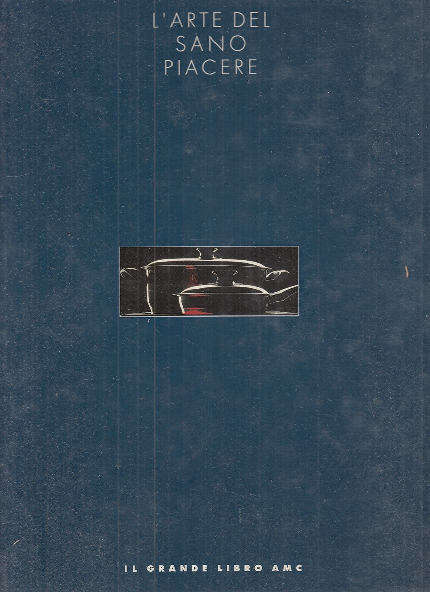 LK- L'ARTE DEL SANO PIACERE GASTRONOMIA RICETTE - ZABERT - AMC- 1991- CS- YFS771