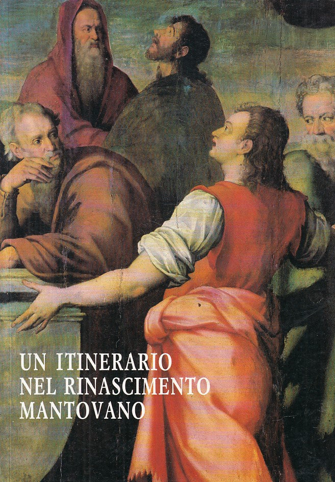 LT- ITINERARIO RINASCIMETNO MANTOVANO MUSEO GONZAGA-- MANTOVA--- 1989- B- YFS195