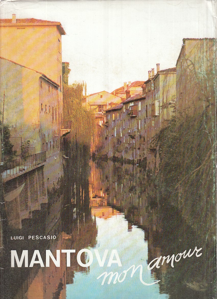 LS- MANTOVA MON AMOUR - LUIGI PESCASIO - PADUS --- 1978 - CS - YFS871