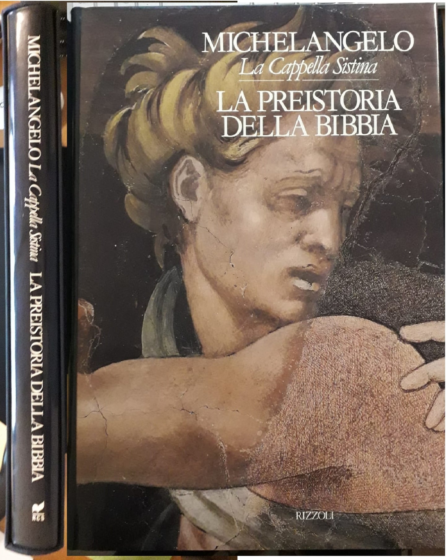 LT- MICHELANGELO LA CAPPELLA SISTINA PREISTORIA BIBBIA -- RIZZOLI --- 1989 - CS- ZFS