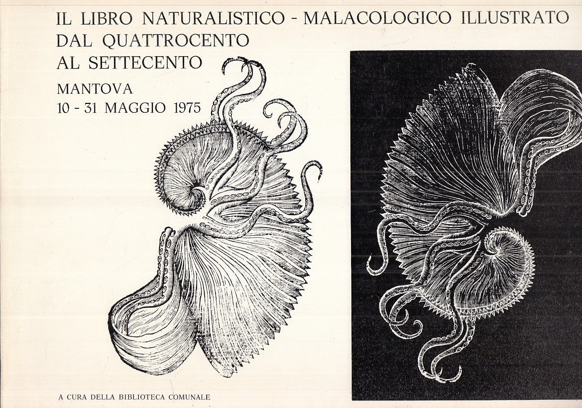 LZ- NATURALISTICO/MALACOLOGICO QUATTROCENTO SETTECENTO----- 1975- B- YFS874