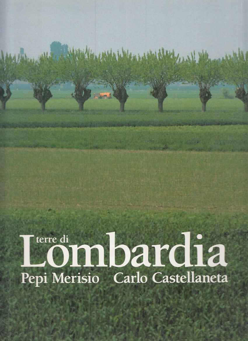 LZ- TERRE DI LOMBARDIA- MERISIO CASTELLANETA- GRAFICA E ARTE--- 1990- CS- YFS893