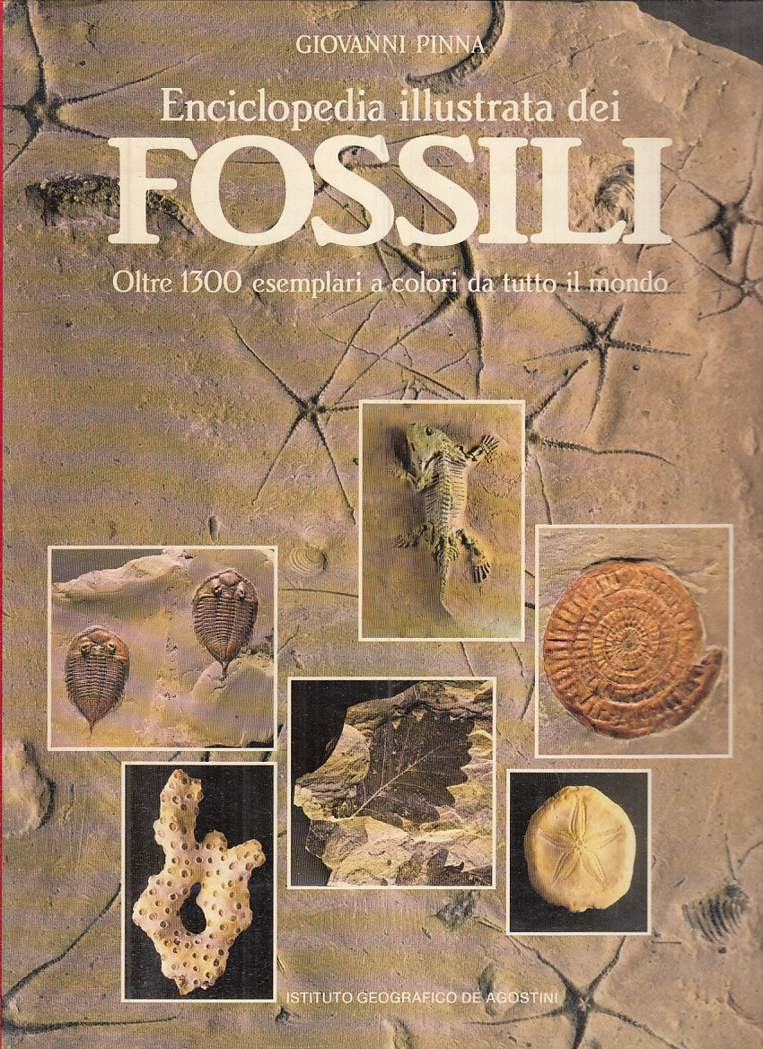 LZ- ENCICLOPEDIA ILLUSTRATA DEI FOSSILI- PINNA- DE AGOSTINI--- 1985- CS - YFS896