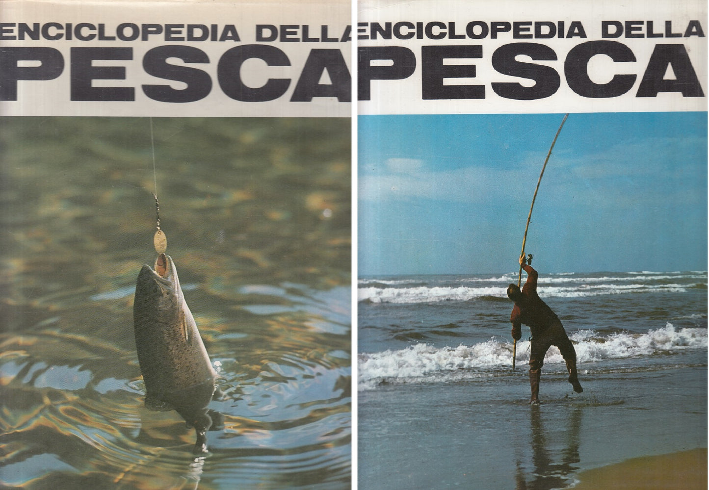 LZ- ENCICLOPEDIA DELLA PESCA 2 VOLUMI -- SADEA SANSONI --- 1967 - CS - YFS924