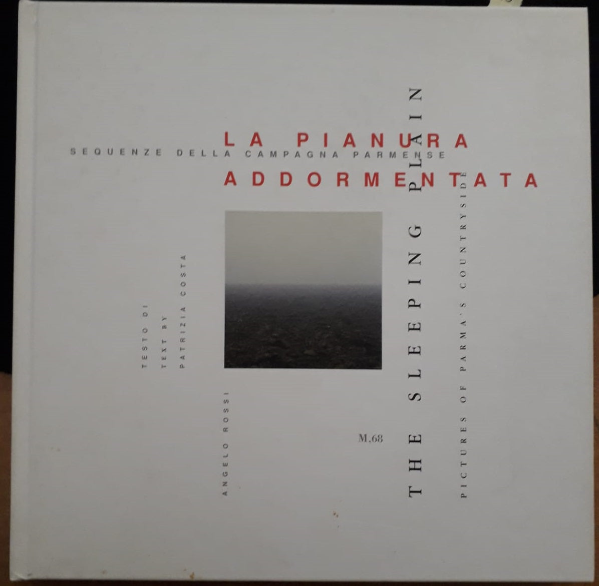 LZ- LA PIANURA ADDORMENTATA THE SLEEPING PLAIN PARMA -- M,68 --- 2004 -- WPR319