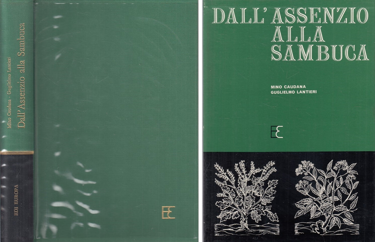 LZ- DALL'ASSENZIO ALLA SAMBUCA- CAUDANA LANTIERI- EDI EUROPA--- 1967- CS- ZFS307