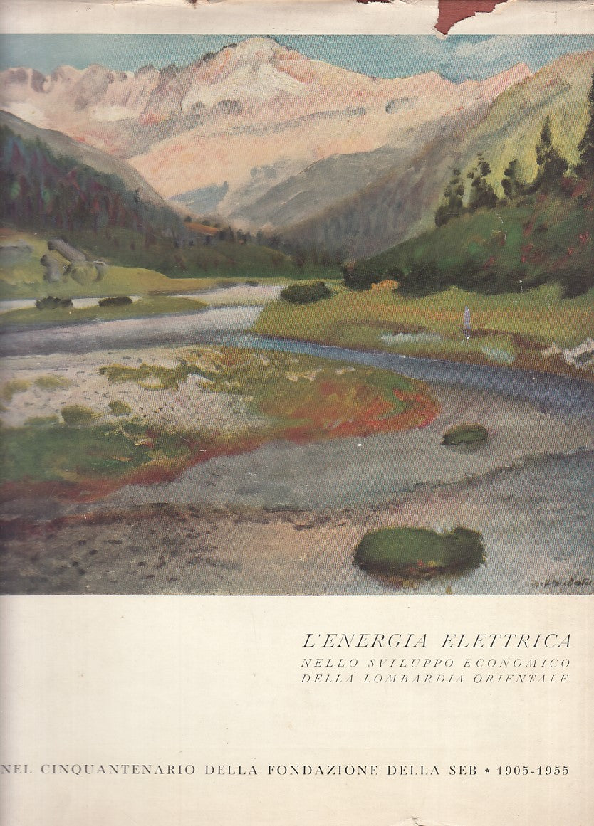 LS- ENERGIA ELETTRICA SVILUPPO ECONOMICO LOMBARDIA-- BRESCIA--- 1955- CS- YFS709