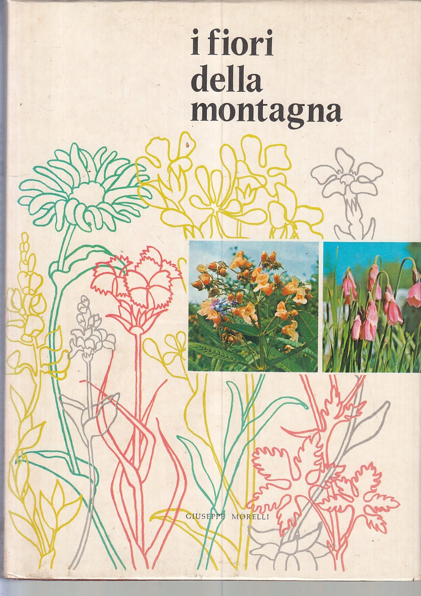 LZ- I FIORI DELLA MONTAGNA - GIUSEPPE MORELLI - TRENTO --- 1970- CS- YFS287