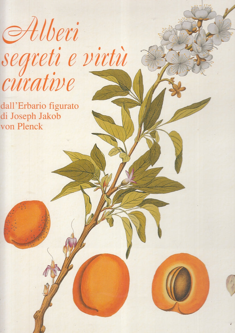 LZ- ALBERI SEGRETI E VIRTU' CURATIVE - FORNASARO - MAGNUS --- 2003 - CS - YFS225