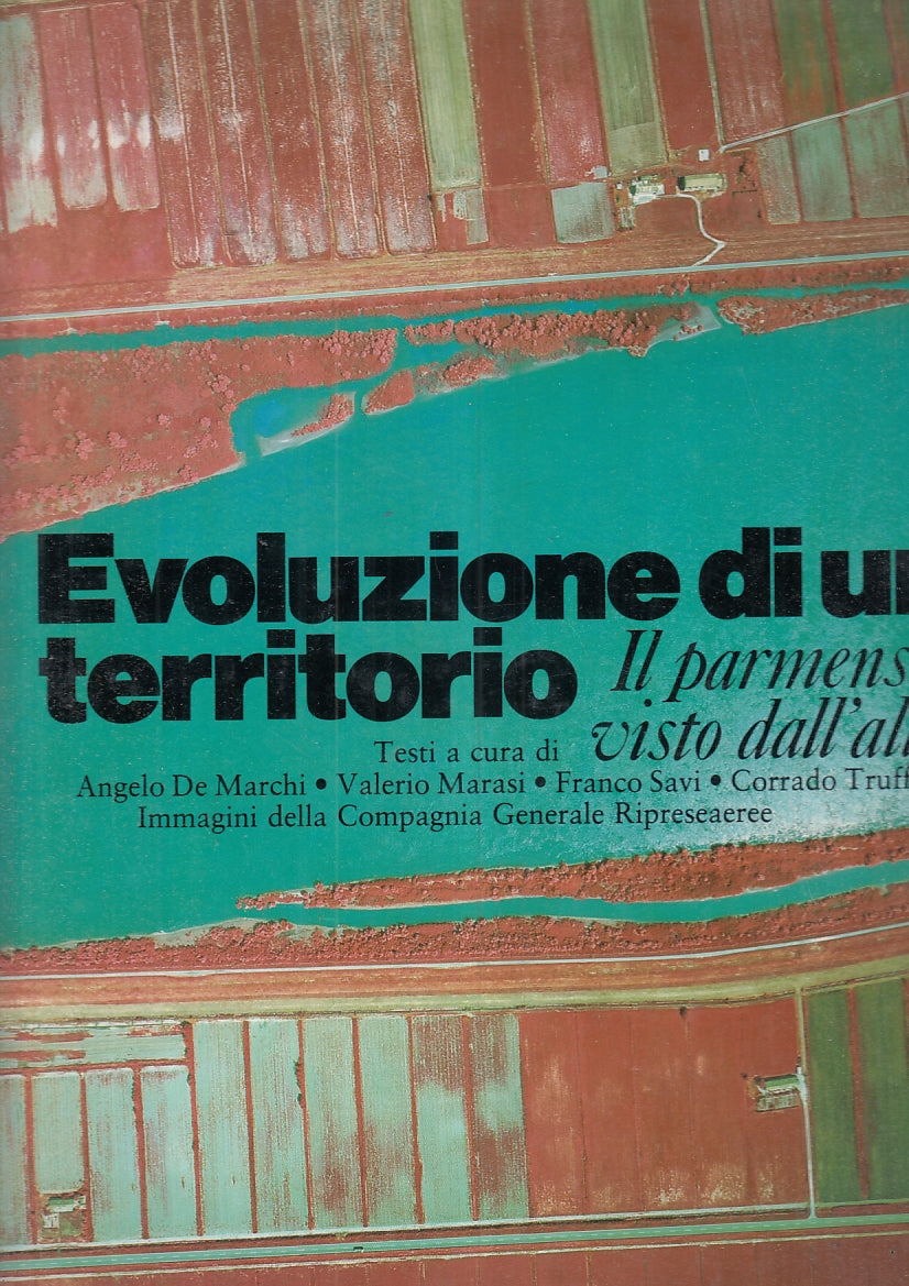 LV- EVOLUZIONE DI UN TERRITORIO PARMENSE DALL'ALTO -- STEP --- 1980 - CS- YFS110