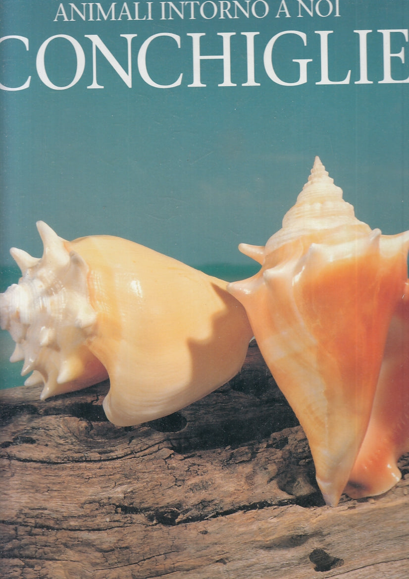 LZ- ANIMALI INTORNO A NOI CONCHIGLIE- ANDREW CLEAVE- EDICART--- 1996- CS- YFS846