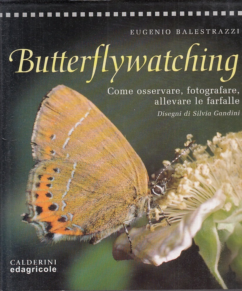 LZ- BETTERFLYWATCHING - BALESTRAZZI - CALDERINI --- 2000 - CS - YFS910