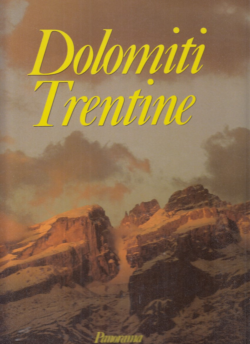 LZ- DOLOMITI TRENTINE -- PANORAMA --- 1988 - CS - YDS98