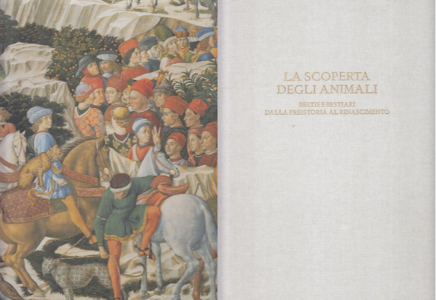 LT- LA SCOPERTA DEGLI ANIMALI - MEZZALIRA - ALLEMANDI --- 2001 - C - YFS854