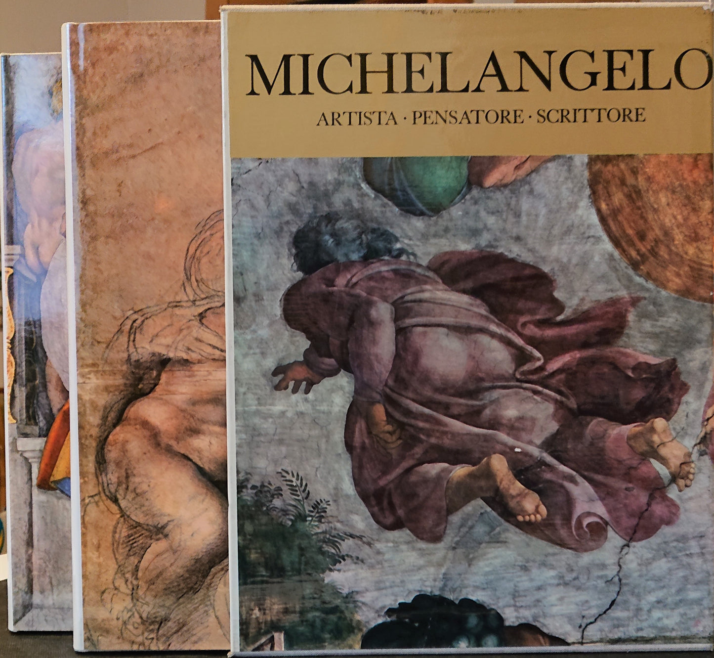 LT- MICHELANGELO ARTISTA PENSATORE SCRITTORE 2 VOLUMI -- DE AGOSTINI--- 1972- CS- ZDS