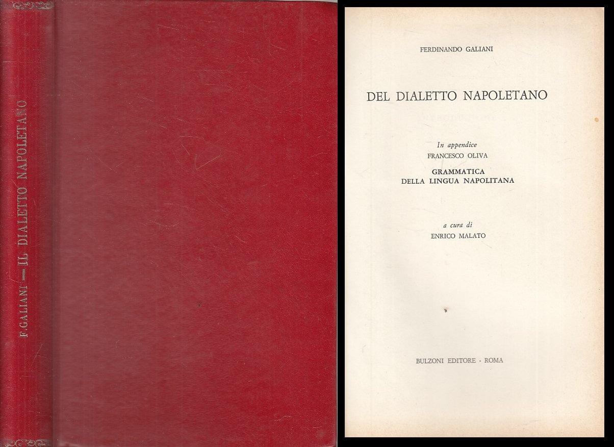 LZ- IL DIALETTO NAPOLETANO GRAMMATICA - GALIANI - BULZONI --- 1970 - C - YFS174