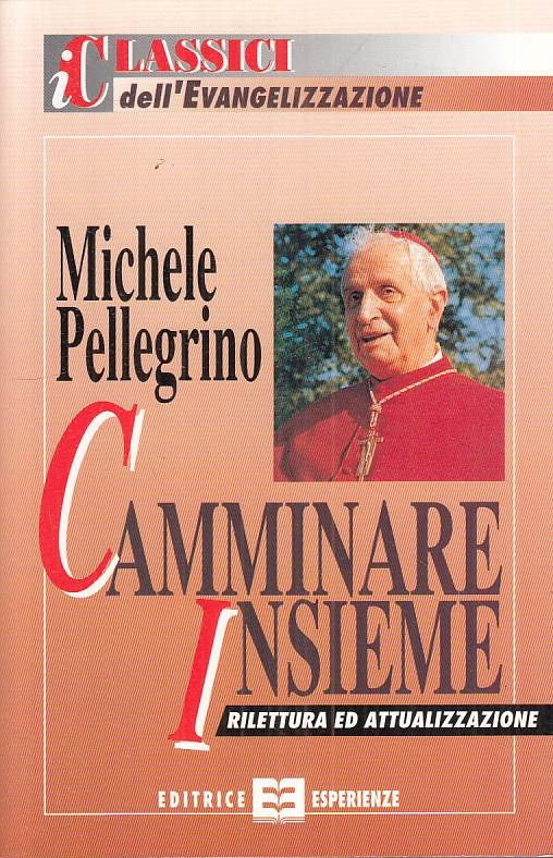 LS- CAMMINARE INSIEME - MICHELE PELLEGRINO - ESPERIENZE --- 1993 - B - YTS481