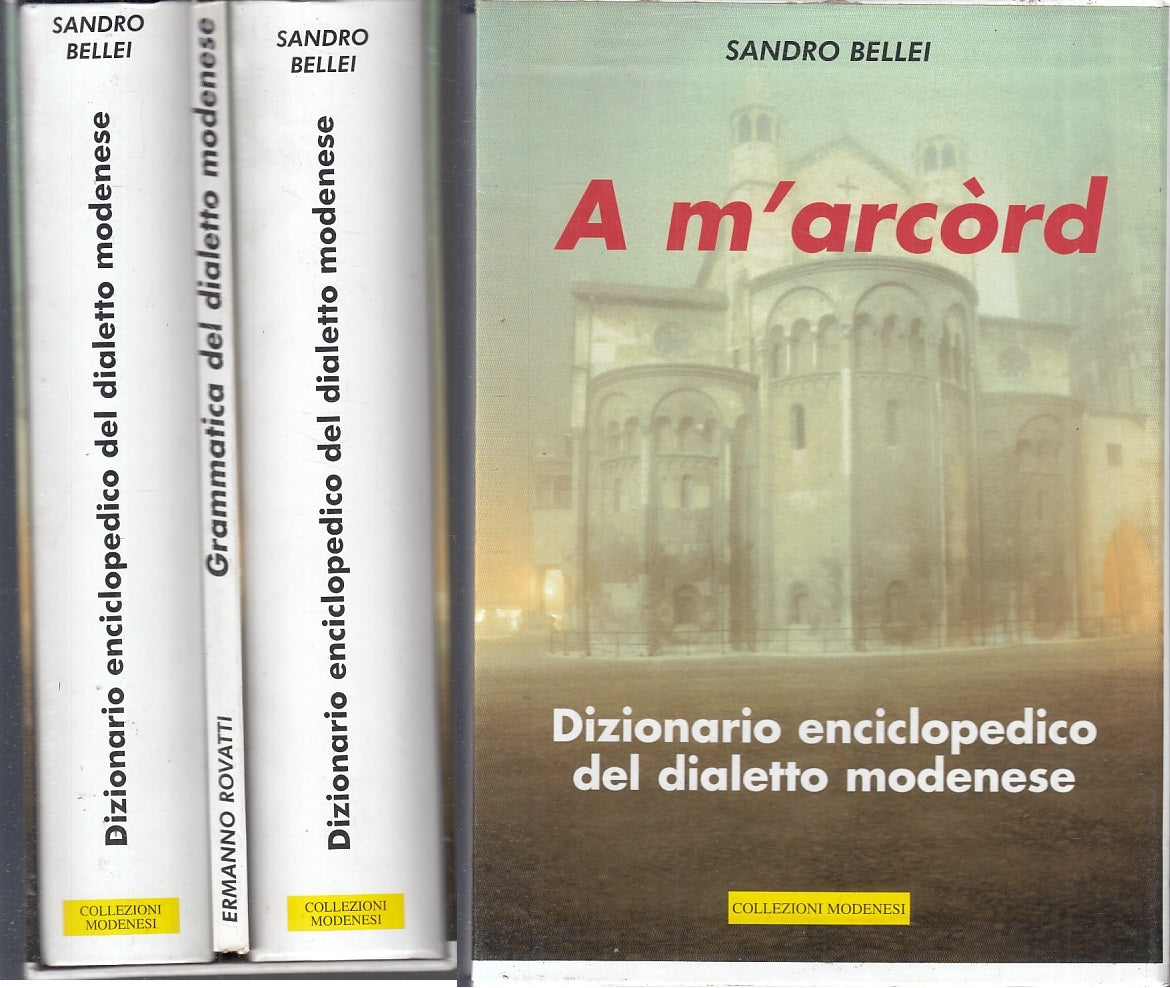 LZ- DIZIONARIO ENCICLOPEDICO DEL DIALETTO MODENESE - BELLEI---- 1999- C- ZTT37