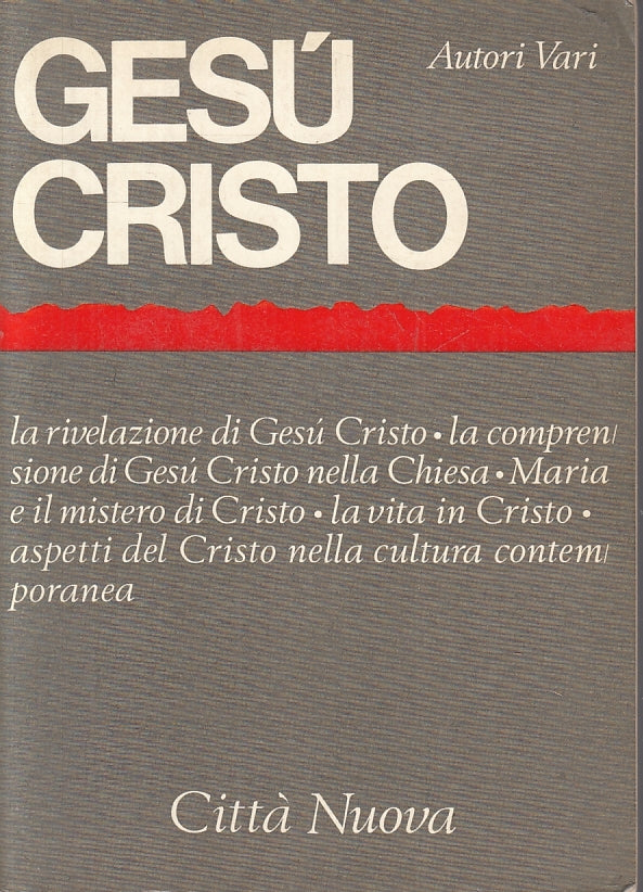 LD- GESU' CRISTO RIVELAZIONE COMPRENSIONE -- CITTA' NUOVA --- 1981 - B- ZFS149