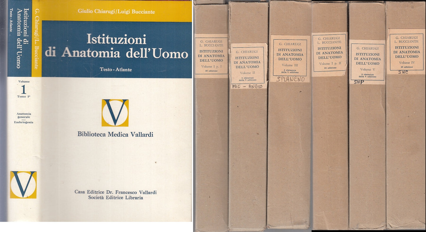 LZ- ISTITUZIONI DI ANATOMIA DELL'UOMO 6 VOLUMI - CHIARUGI - VALLARDI---- CS- YFS