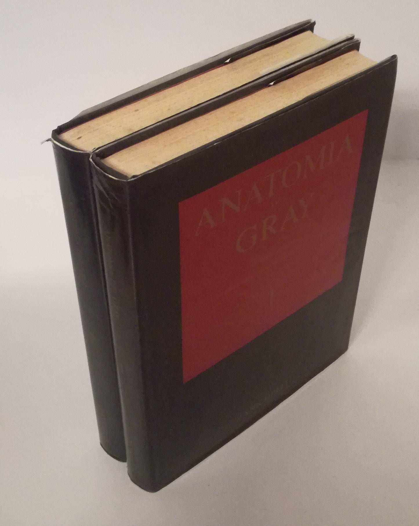 LQ- ANATOMIA DEL GRAY VOLUMI 1/2 -- ZANICHELLI --- 1985 - CS - ZFS764