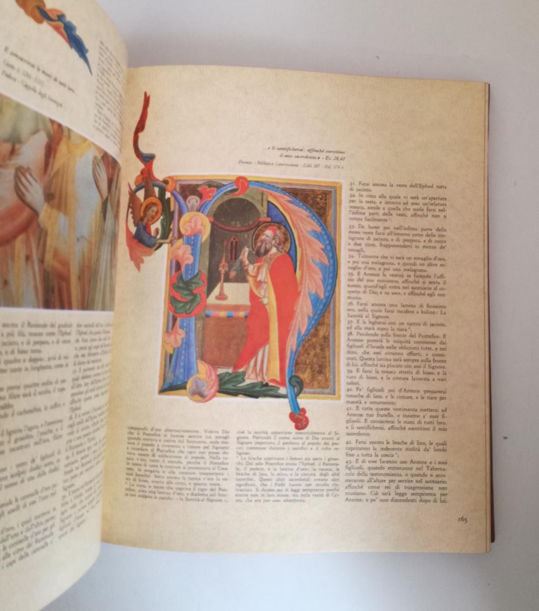 LD- LA SACRA BIBBIA VOLUMI I/VII OPERA COMPLETA -- FABBRI --- 1963 - C - YFS