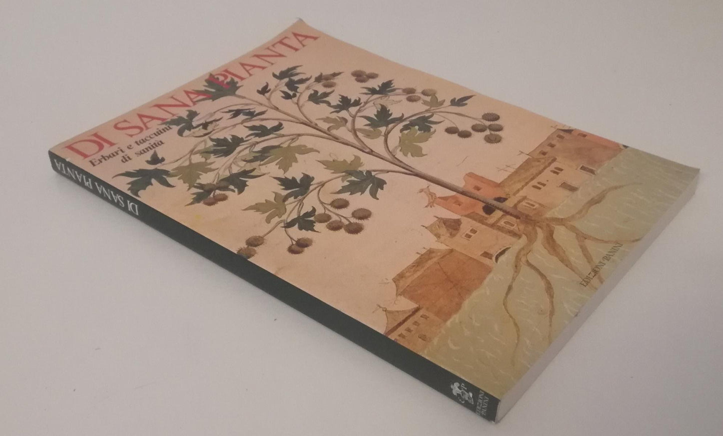 LZ- DI SANA PIANTA ERBARI E TACCUINI DI SANITA' -- PANINI --- 1988 - B - ZFS695