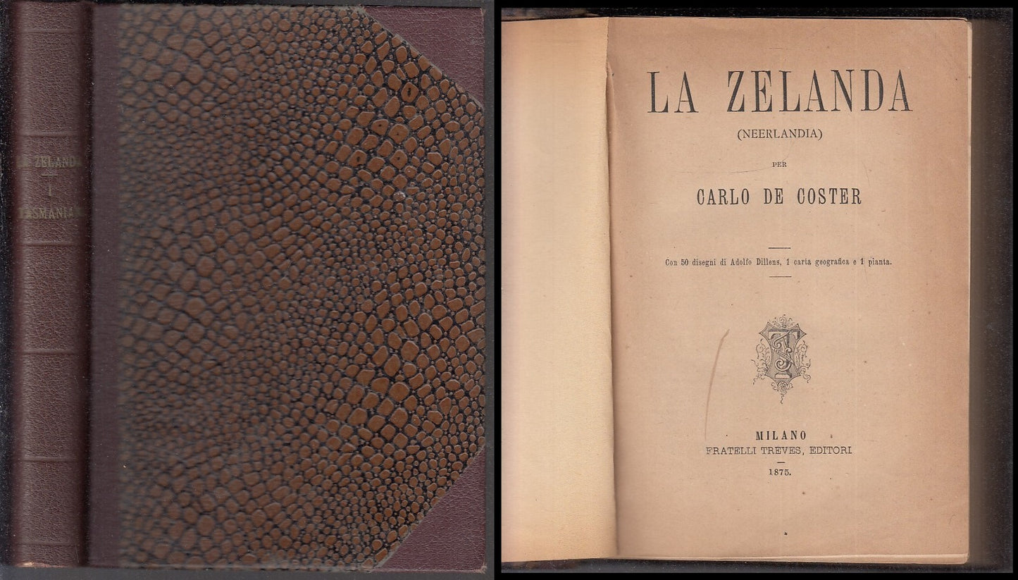 LV- LA ZELANDA NEERLANDA TASMANIANI- CARLO DE COSTER- TREVES--- 1875- C- ZFS245