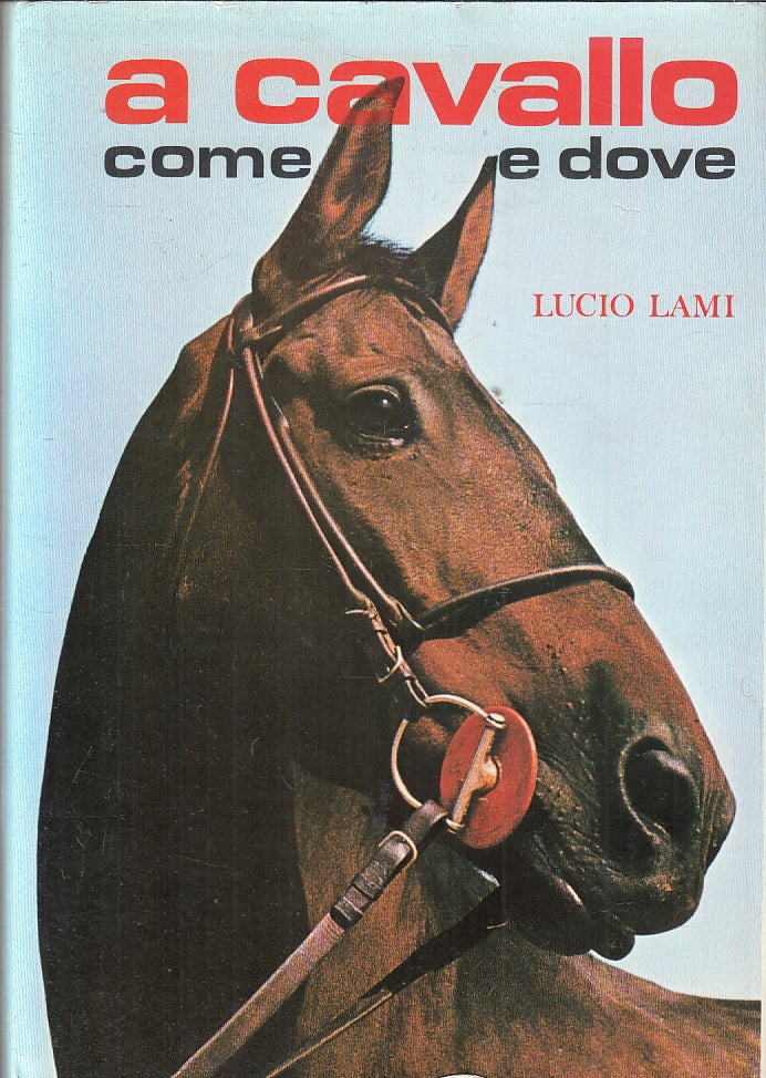 A cavallo come dove - Lucio Lami- Aldo Martello - 1971- disegni di Linder- ZFS98