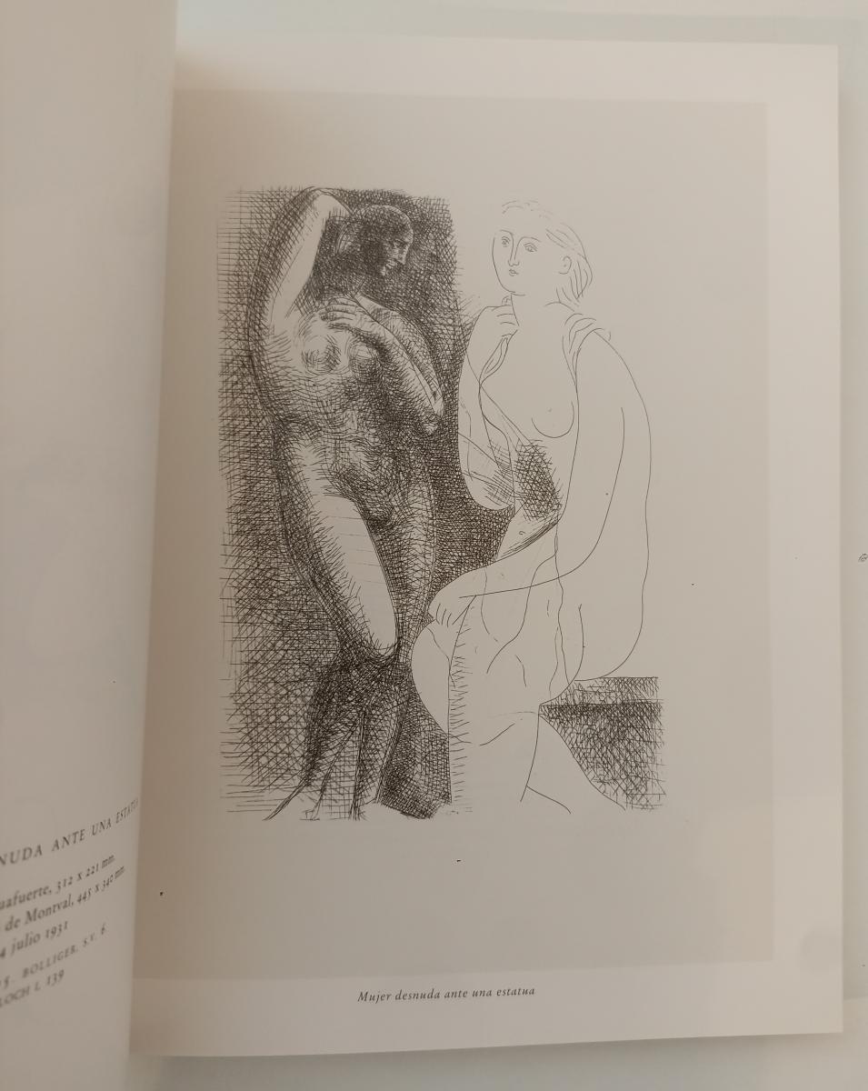 LT- PICASSO SUITE VOLLARD CATALOGO - COPPEL - TURNER MADRID --- 1991 - B- ZFS491