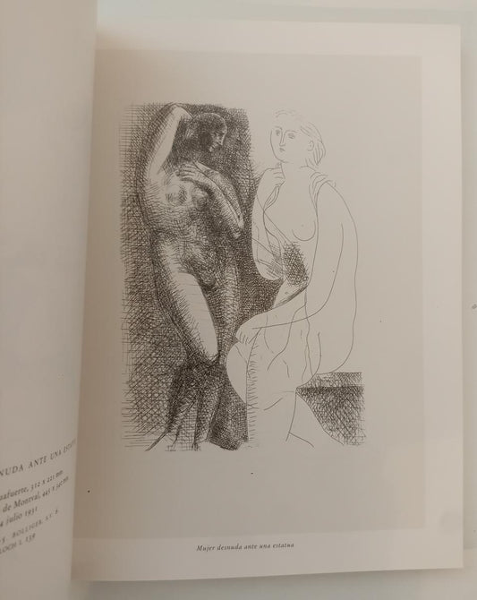 LT- PICASSO SUITE VOLLARD CATALOGO - COPPEL - TURNER MADRID --- 1991 - B- ZFS491