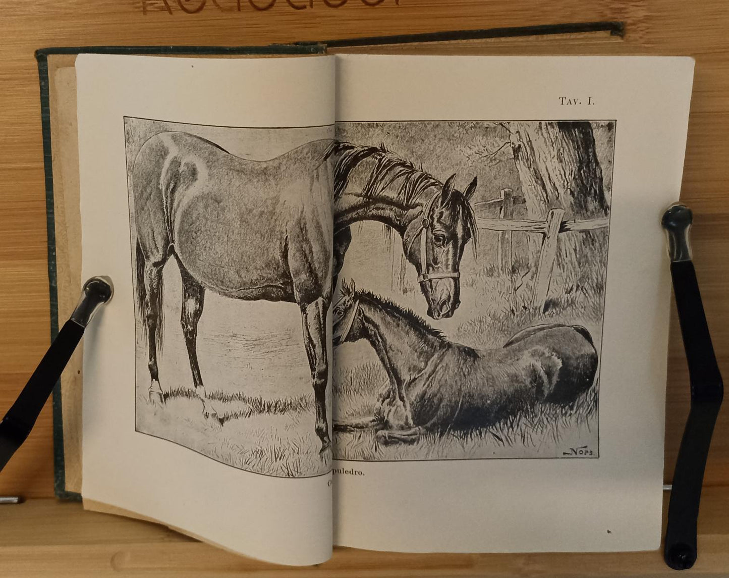 LZ- IL CAVALLO - VOLPINI GIANOLI - HOEPLI - MANUALI - 5a ED. - 1917 - C - XFS